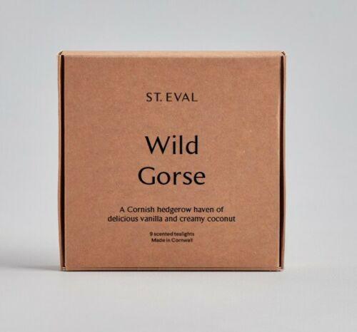 St Eval Candle Company Wild Gorse Scented Tealights