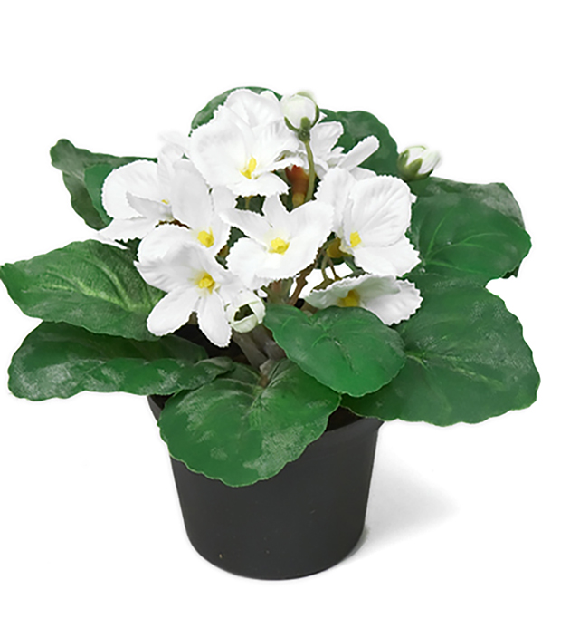Mr Plant St Paula White Flowerpot
