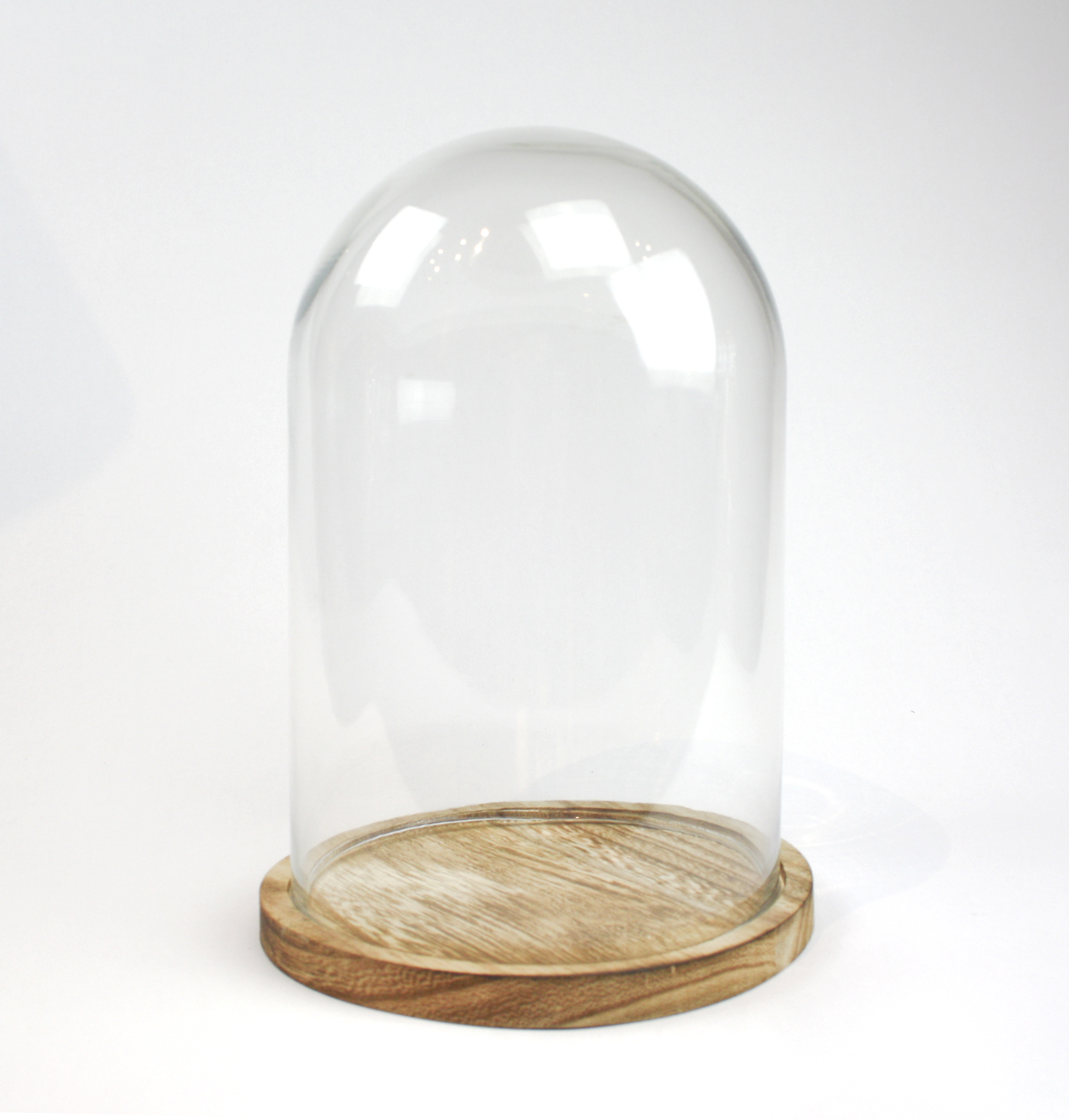 Joca Home Concept 30cm Glass Dome with Wooden Base