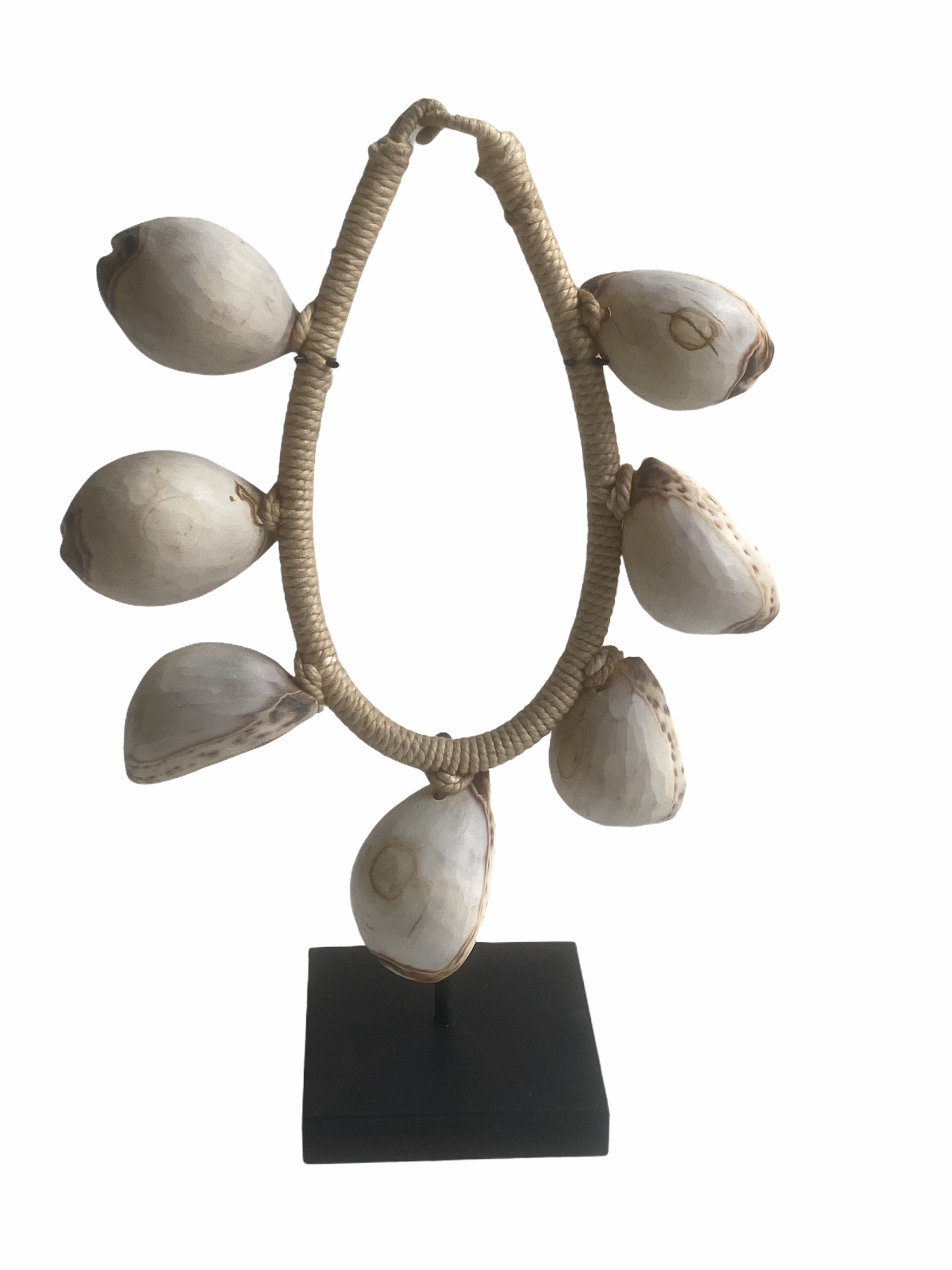 Botanical Boys Handmade White Shell Necklace