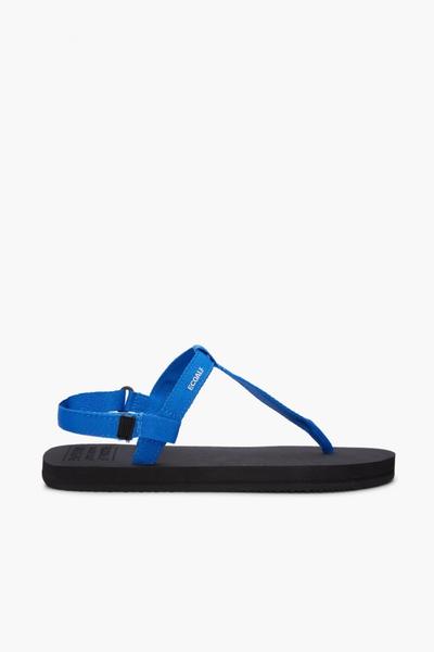 Malta Sandal Royal Blue