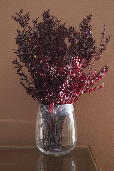 Dried Red Ruscus