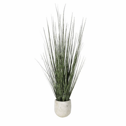 Victoria & Co. Faux Zebra Grass Plant In Ceramic Pot