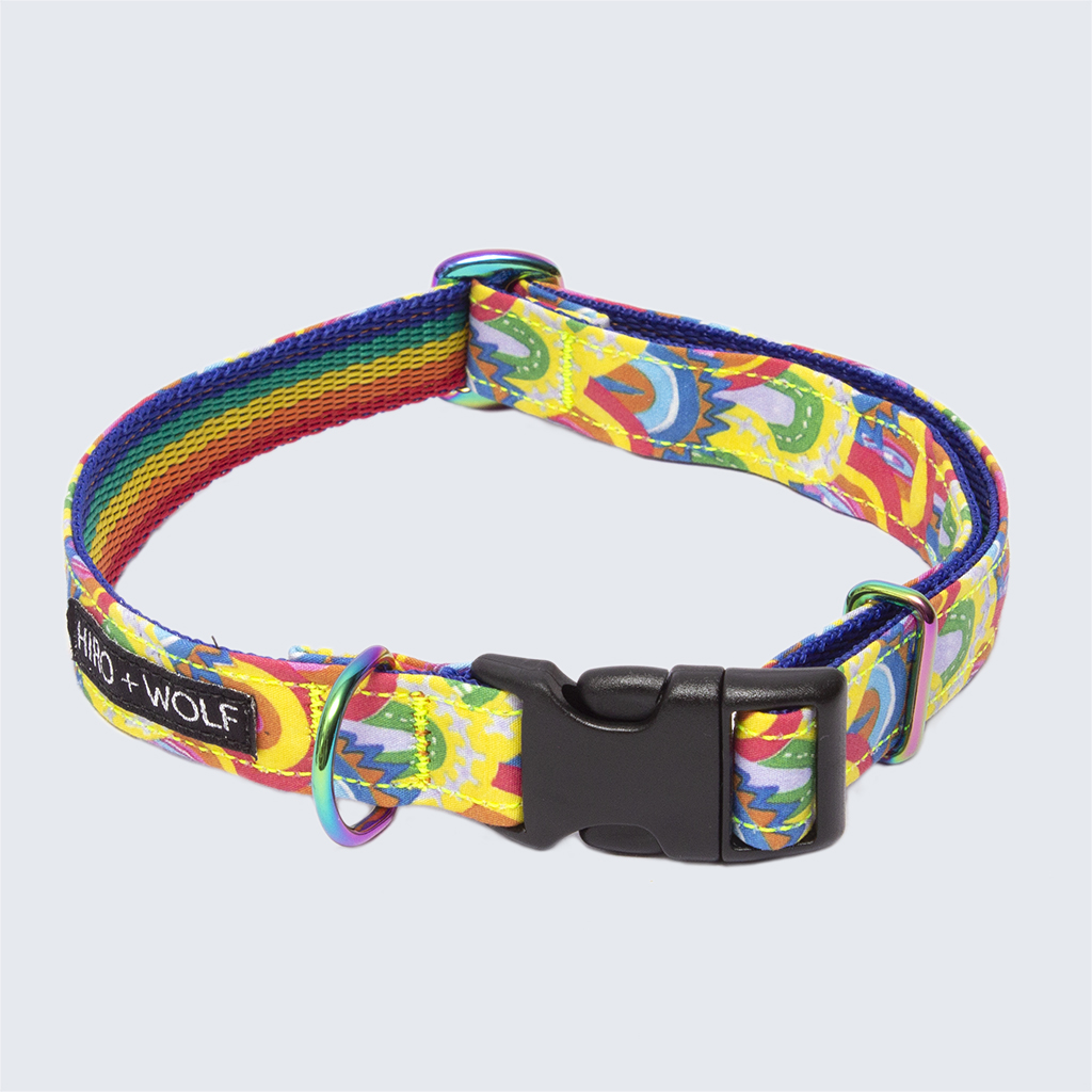 Over The Rainbow Vegan Dog Collar