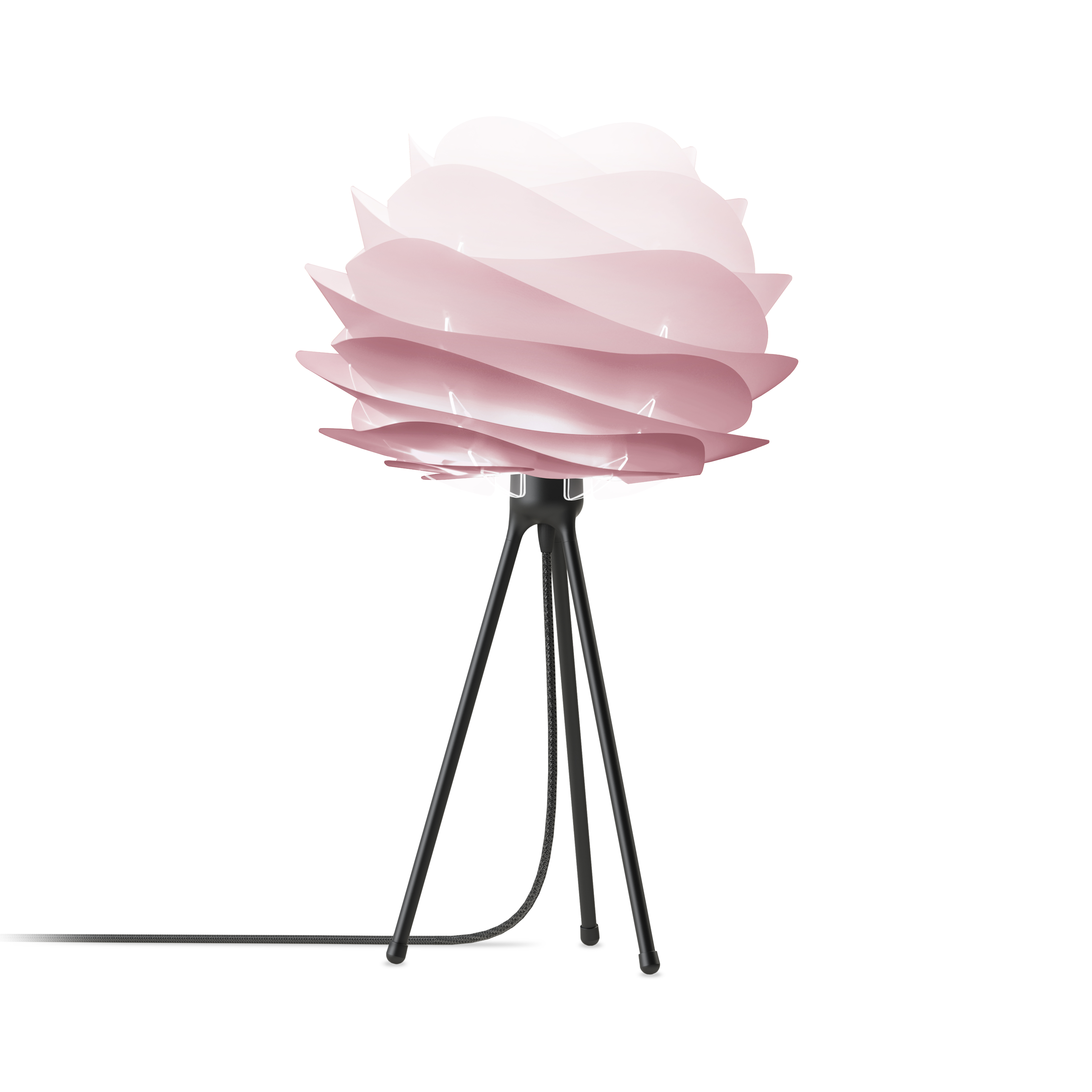 Mini Baby Rose Carmina Table Lamp with Black Tripod