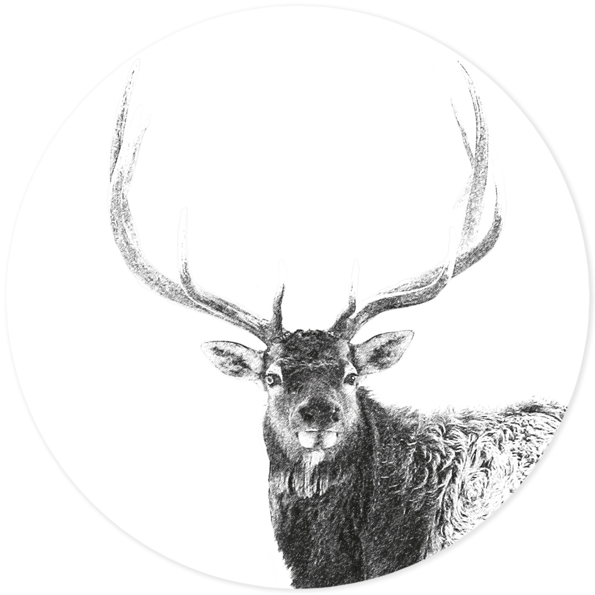 Villa Madelief 150cm Black And White Deer Wall Sticker