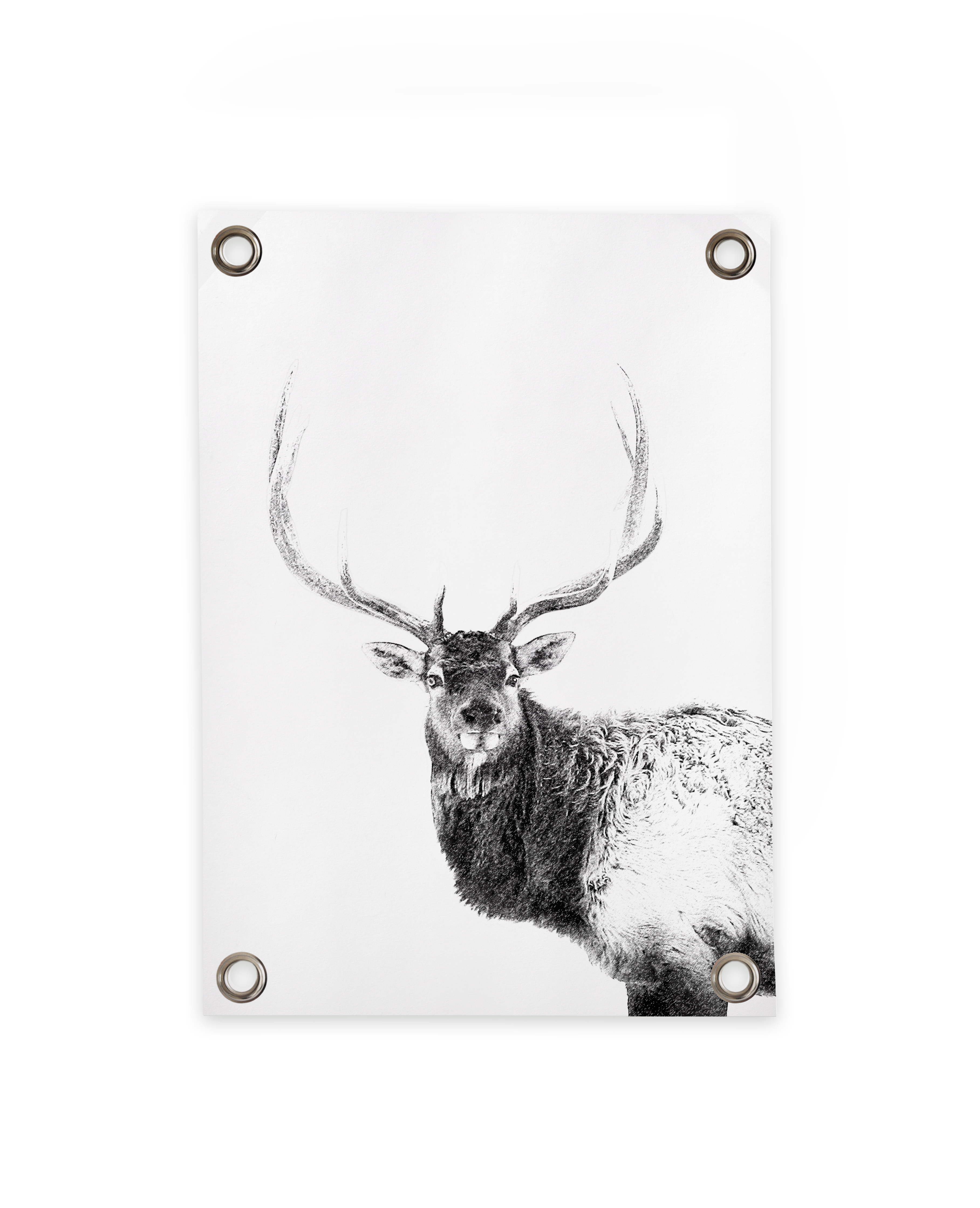 Villa Madelief 50x70cm Black and White Deer Garden Poster