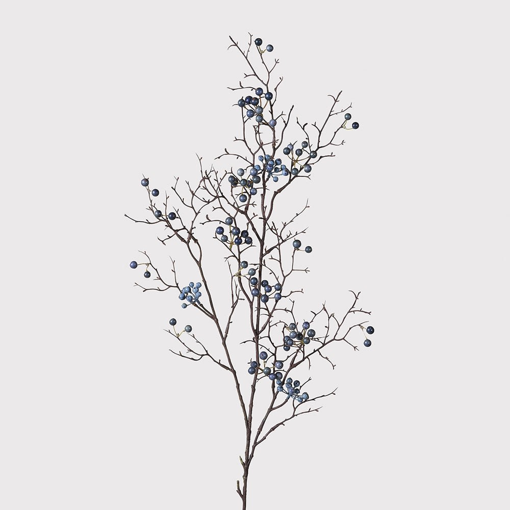 livs Branch of Blue Berries