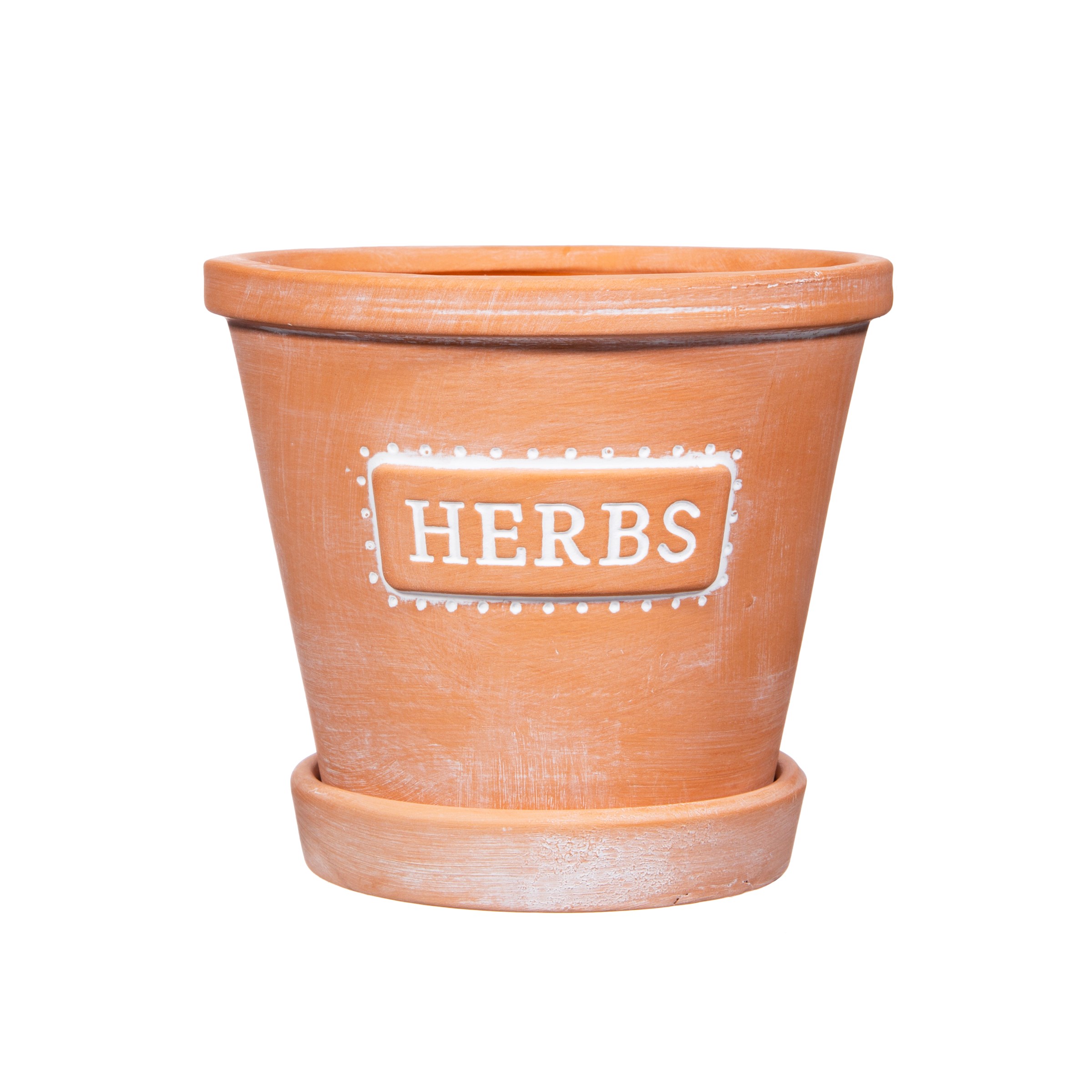 Sass & Belle  Herbs Terracotta Planter with Saucer