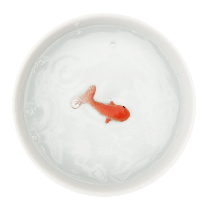 Goldfish Pet Bowl