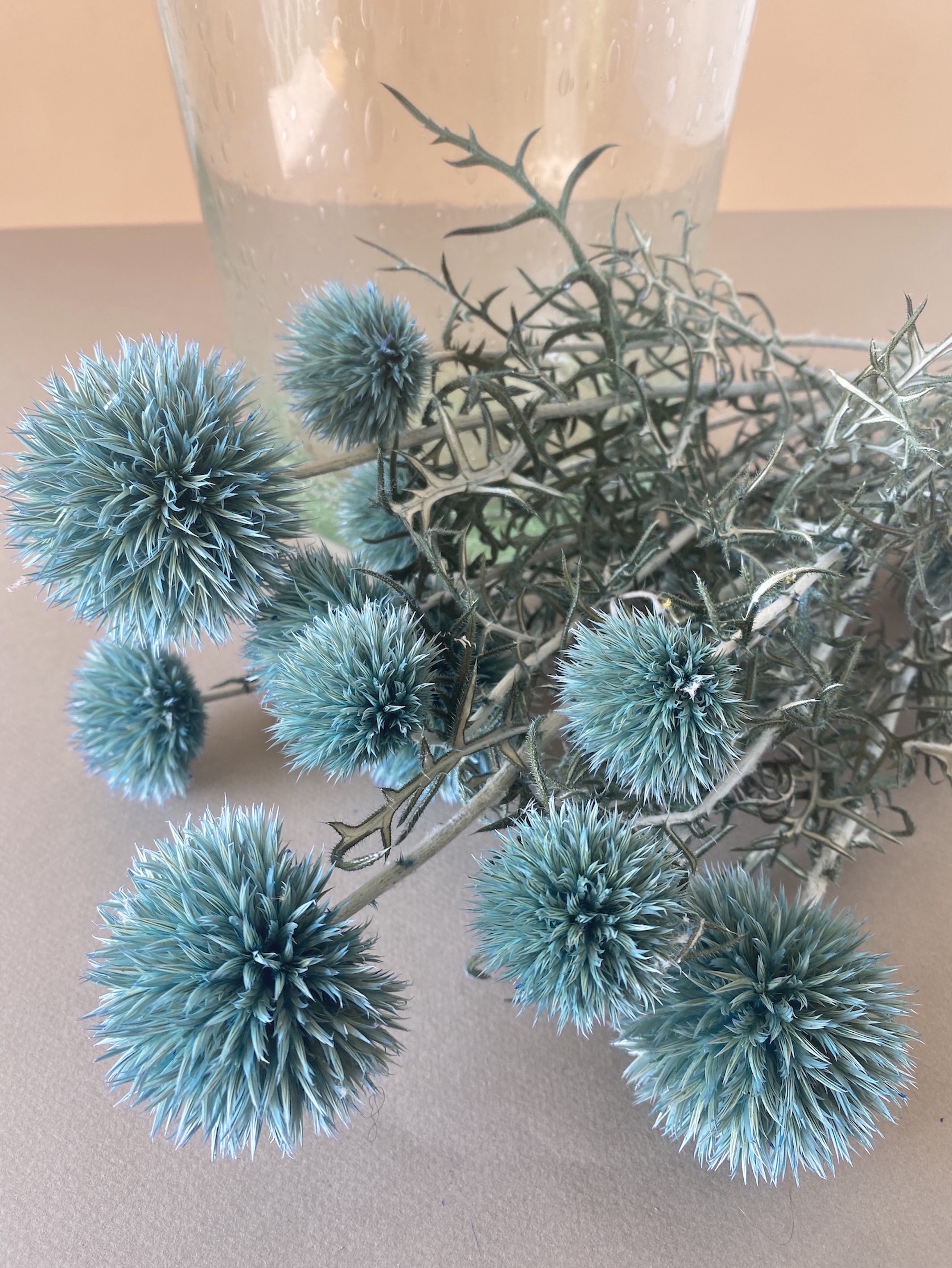 Pompon Bazar Light Turquoise Thistles with Long Stems