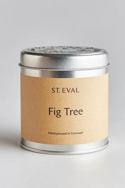 St Eval Fig Tree Candle