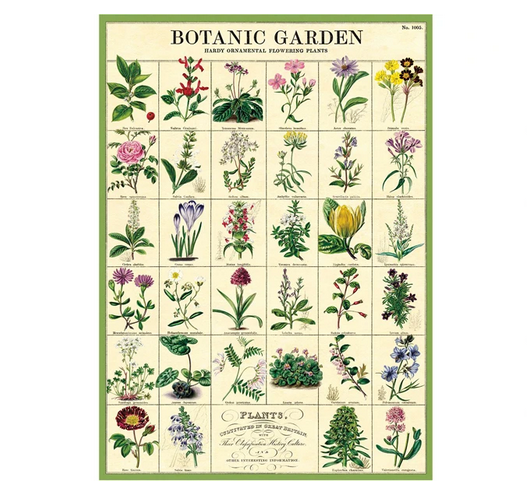 Cavallini & Co Botanic Garden - Vintage Poster | 51 x 71cm