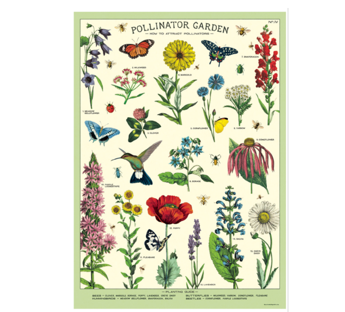 Cavallini & Co Pollinators - Vintage Poster | 51 x 71cm