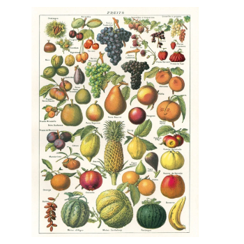 Cavallini & Co Fruits Chart - Cavallini Vintage Poster | 51 x 71cm