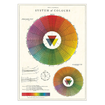 Cavallini & Co System of Colours - Vintage Poster | 51 x 71cm