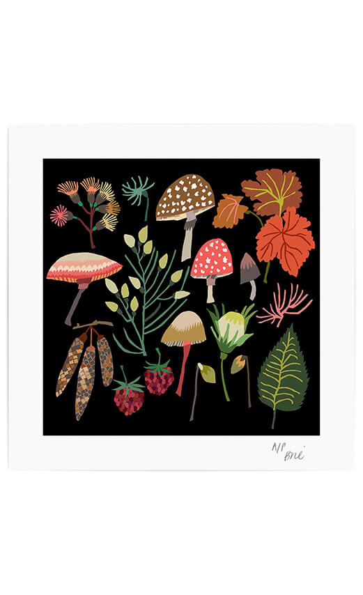 Brie Harrison  Mushrooms and Moss Limited Edition Giclee Print