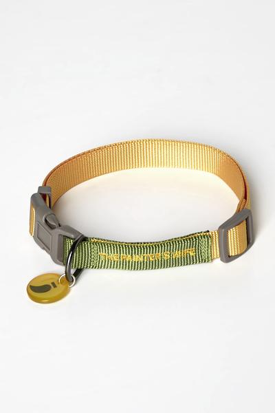 The Painter's Wife Collar Sonia Mimosa Lime