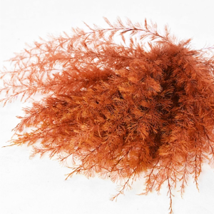 five-and-dime-preserved-orange-air-dried-flowers-fern