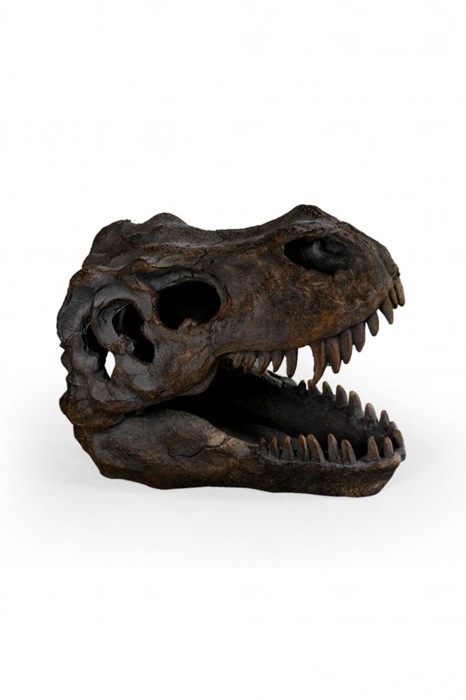 The Home Collection T Rex Skull Table Decor