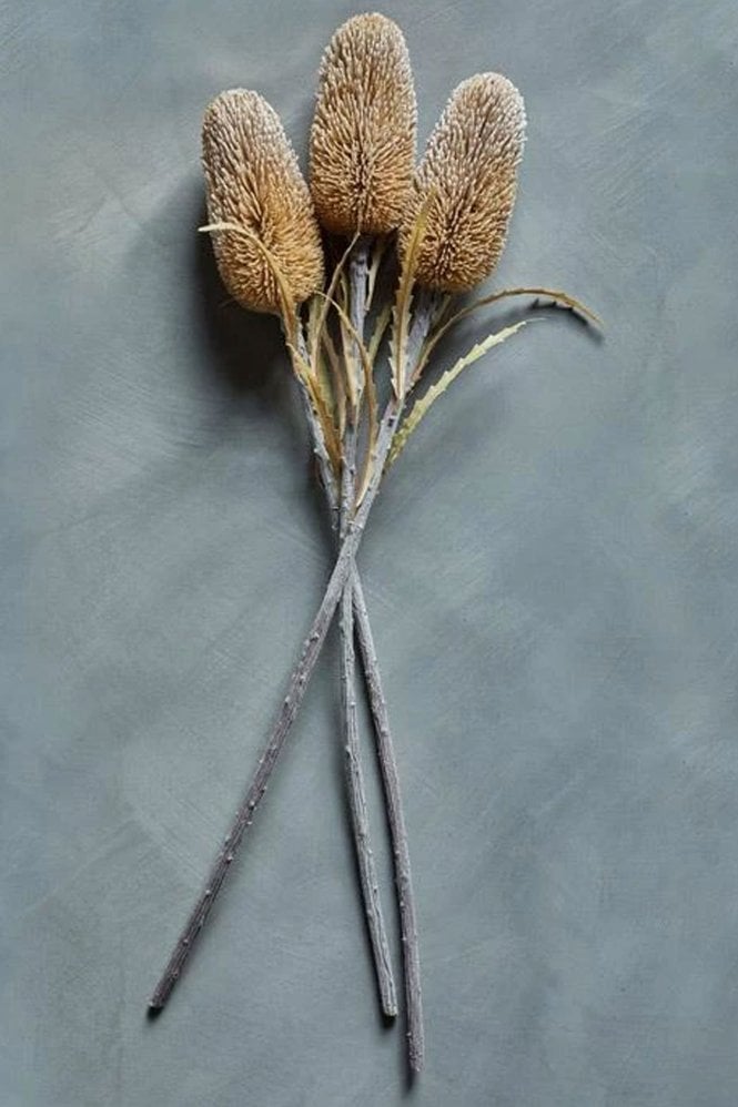 Abigail Ahern Banksia Cinnamon