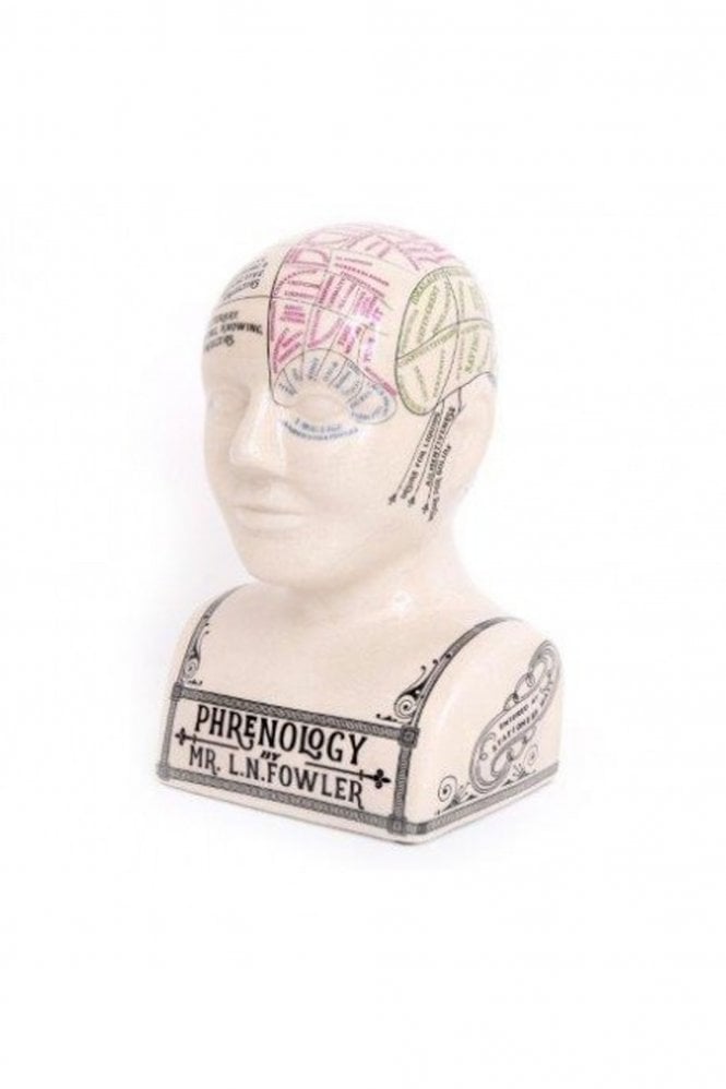 The Home Collection Large Crackle Phrenology Head