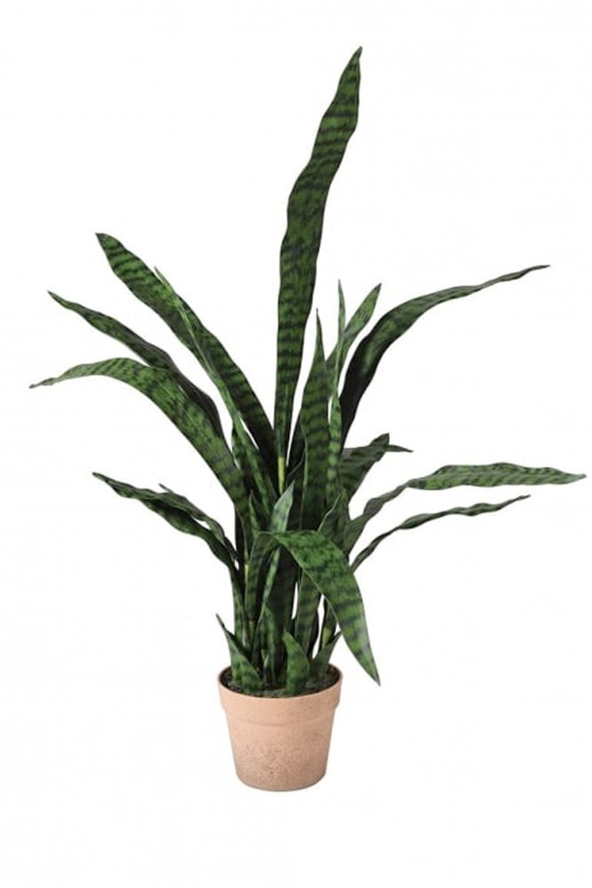 The Home Collection Sanseriveria Faux Plant In Pot