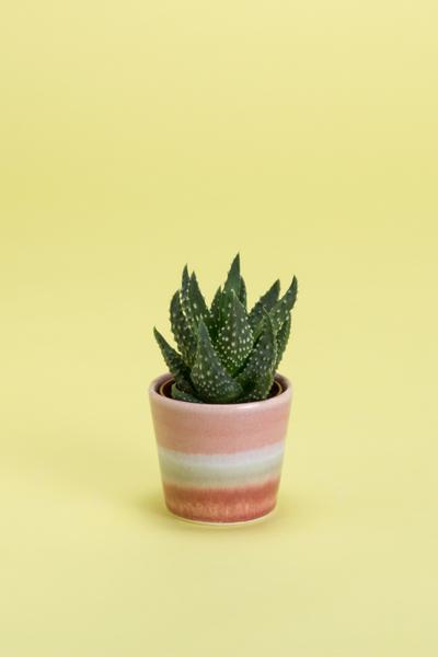 Plant Pot Small Exclusive Pink