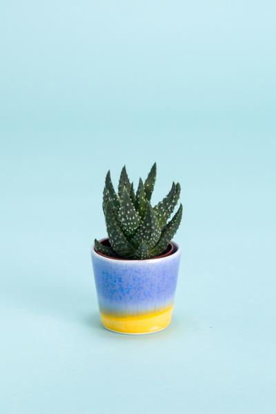 Plant Pot Small Exclusive Blue