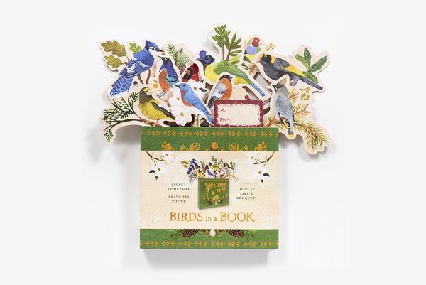 Abrams Birds In A Book Pop Up Book