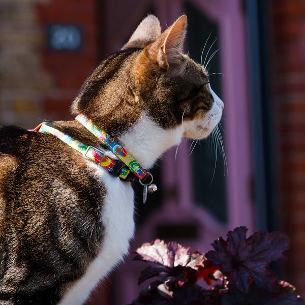 Over The Rainbow Vegan Breakaway Cat Collar