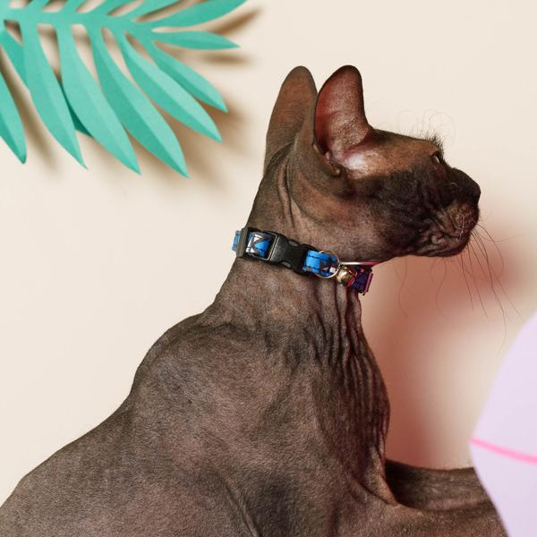 Eyes Breakaway Cat Collar