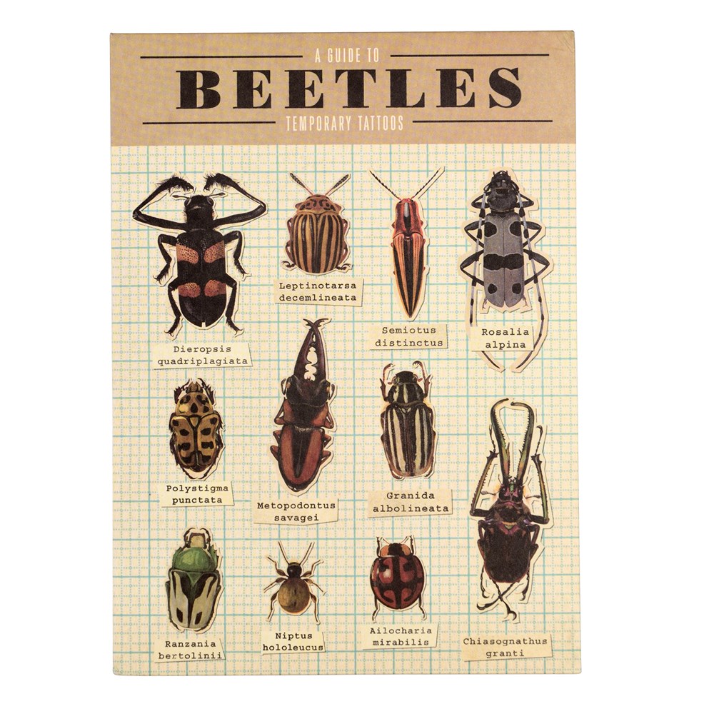 Rex London Beetles Temporary Tattoos