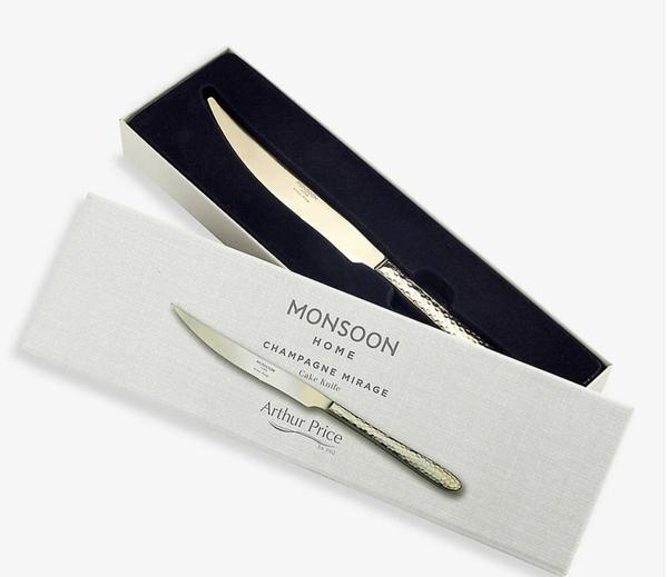 Monsoon Champagne Mirage Boxed Cake Knife