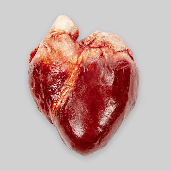 Hoxton Monster Supplies Store Chocolate Human Heart