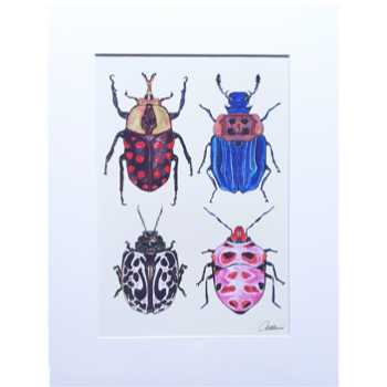 Canvasbutterfly Beetle Study Mounted Print