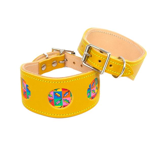 Holly Pop Hound Collar