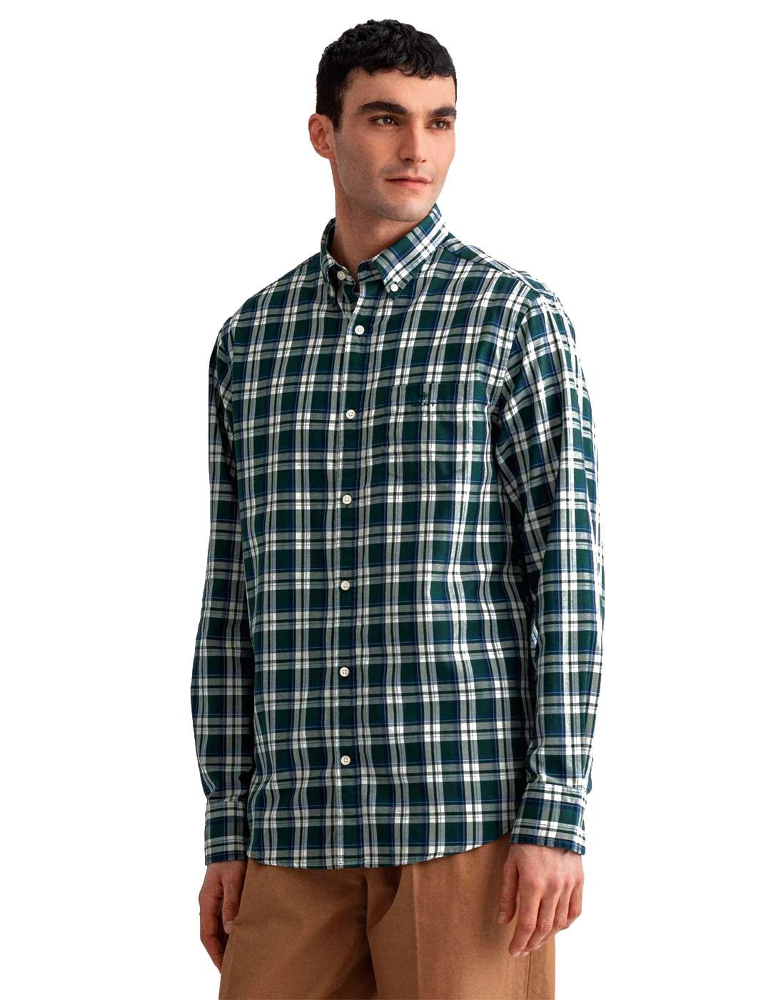 Oxford shirt Regular Green Pictures