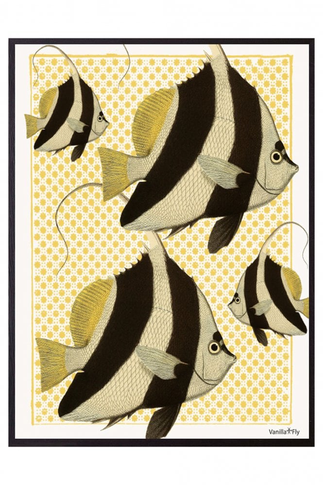 vanilla-fly-tropical-fish-poster
