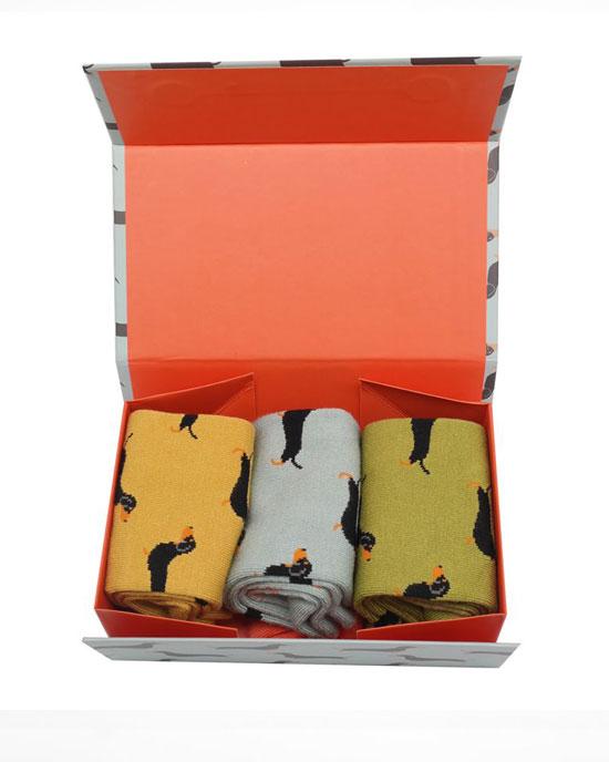 Miss Sparrow Little Sausage Dogs Socks Box 3 Pairs