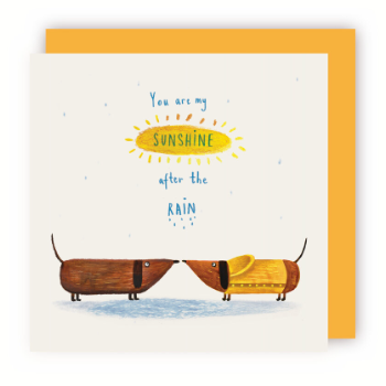 Charley Rabbit Publishing You Are My Sunshine After The Rain Card