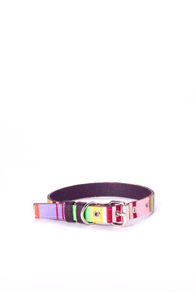 Ware of the Dog Collar Striped Webbing