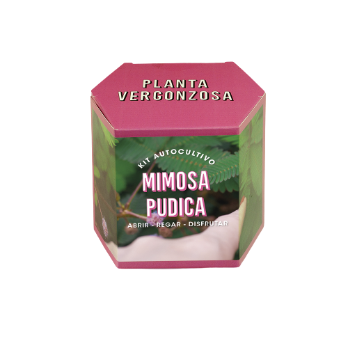 Resetea Kit Autocultivo - Mimosa Púdica