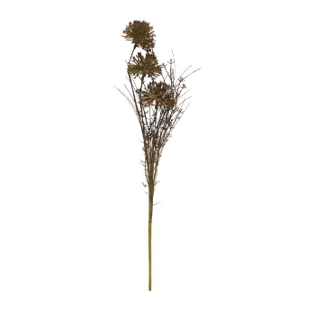 Ib Laursen Brown and Green Toned Melaleuca Flower Stem