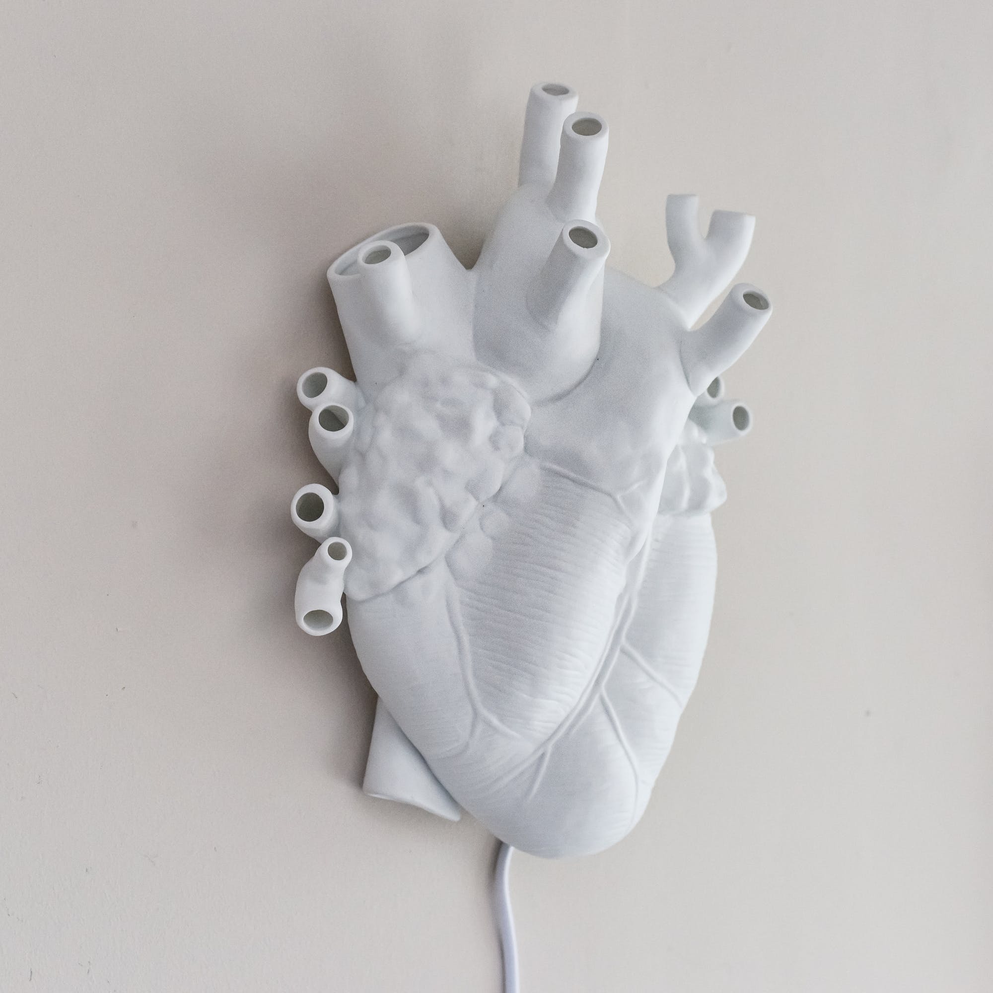 Seletti Porcelain Heart Wall Light