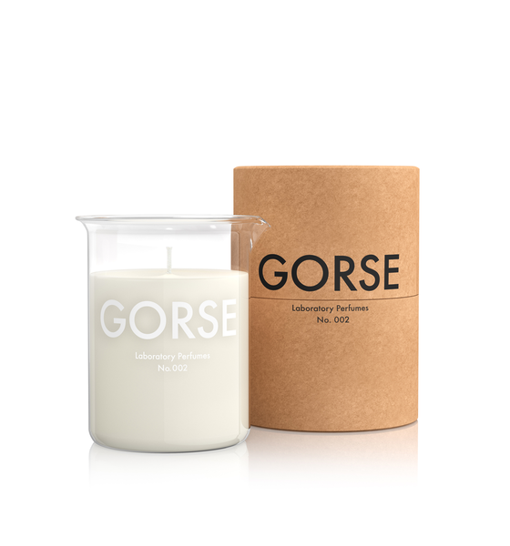 Gorse Candle