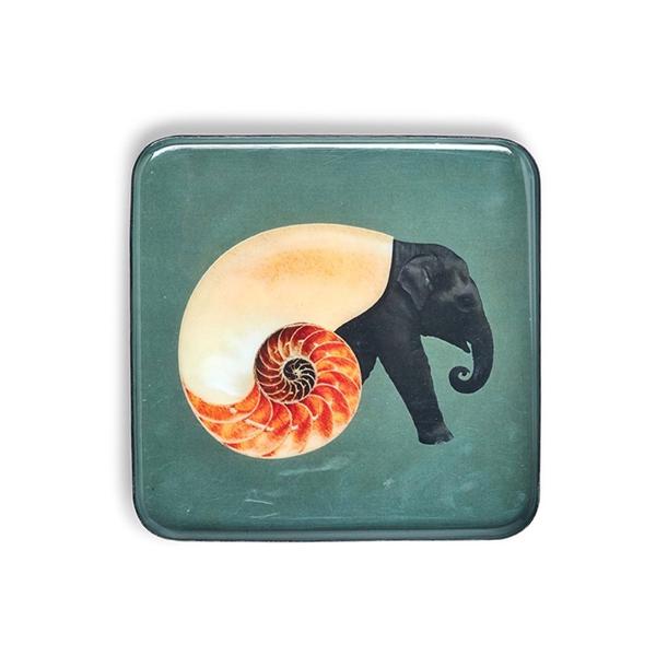 Shell enamel Shellephant