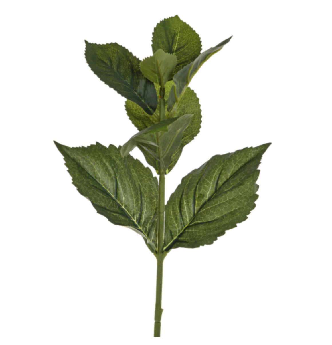 Victoria & Co. Hydrangea Leaf Spray