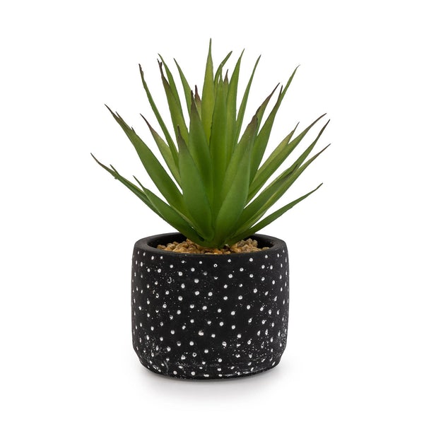 Candlelight Black Spotty Pot Aloe Vera Succulent Faux Plant