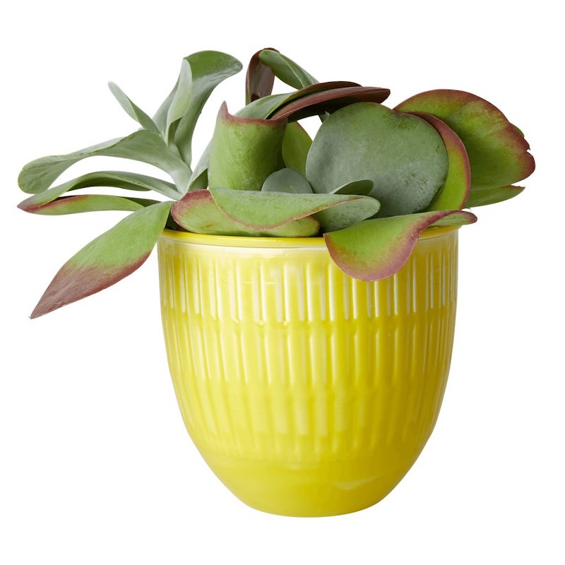 Rice by Rice Yellow Metal Flower Pot